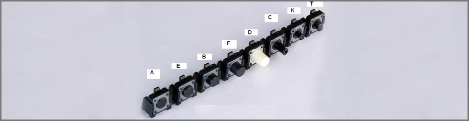 Tact Switch (12 x 12) Vertical